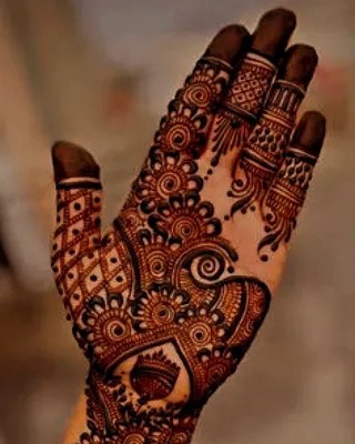 Elegant Royal Mehndi Designs