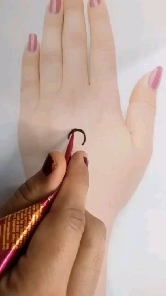 Elegant Royal Mehndi Designs